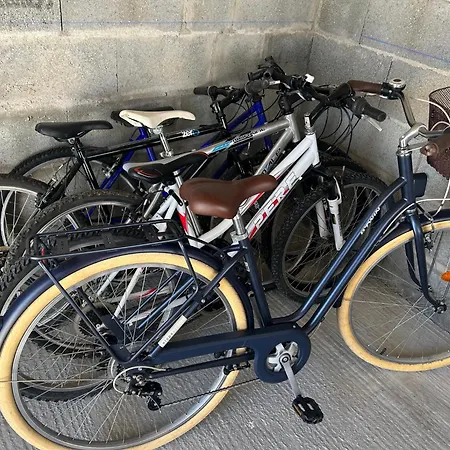 Location Du Klan Des K : 4 Etoiles 150m Les Sables Vignier